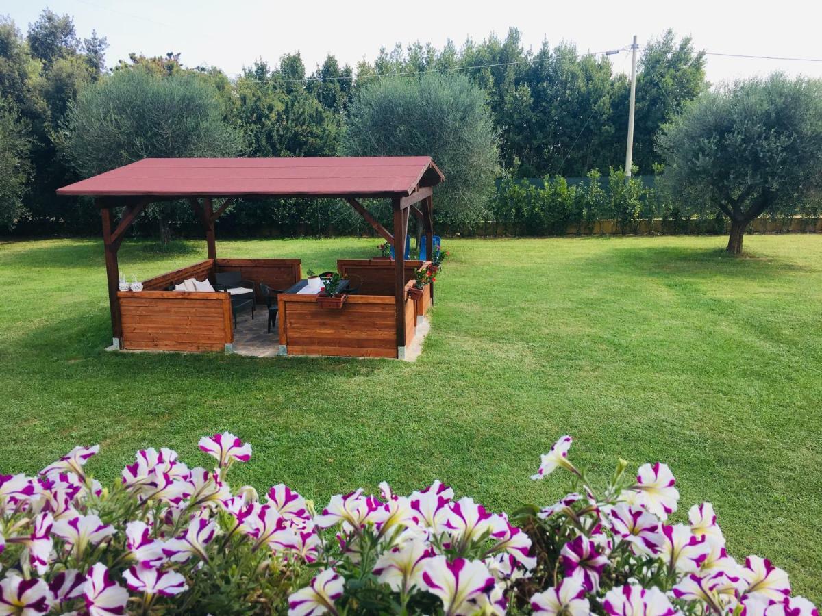 La Rosa Del Lago Браччано Экстерьер фото